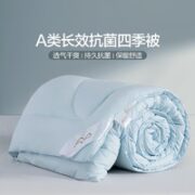 MERCURY 水星家纺 七孔纤维被芯双人被 四季被(A类/长效抗菌/浅蓝) 150cm*210cm