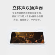 荣耀100 Pro 单反级写真相机 荣耀绿洲护眼屏 第二代骁龙8旗舰芯片 立体声双扬声器 OIS 12+256 月影白 5G
