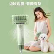 哈巴斯宠物吹风机猫毛梳子狗狗烘干机大功率洗澡吹梳毛一体机吹干神器 薄荷绿【多功能拉毛吹风机】