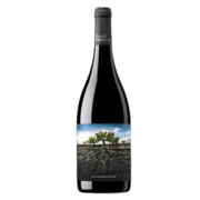 La Garnacha西班牙格兰蒙卡救难者老树藤歌海娜葡萄酒干红葡萄酒红酒750mL 格兰蒙卡救难者老藤歌海娜