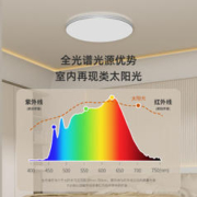 20点开始：OSRAM 欧司朗 X021 吸顶灯 135瓦