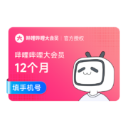 bilibili 哔哩哔哩 大会员 年卡 12个月