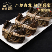 【活蟹】鱻谣大闸蟹鲜活螃蟹特大河蟹2.8-3.1两母8只兴化稻田蟹