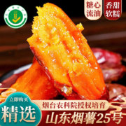 落沙园山东烟薯25号 烟薯带箱5斤装【优选果】