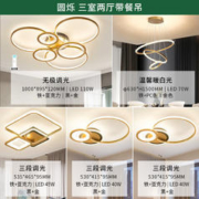 雷士照明 LED吸顶灯北欧线条灯具 三室两厅