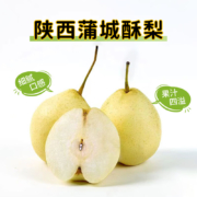 plus会员：采缇 陕西酥梨 8.5-9斤
