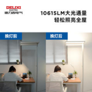 DELIXI 德力西 幼儿童学生全光谱学习灯护眼落地灯大路灯