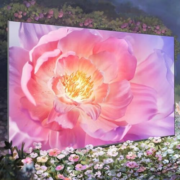 双11预售、PLUS会员：HUAWEI 华为 智慧屏Vision 3 液晶电视 86英寸 4K 240HZ