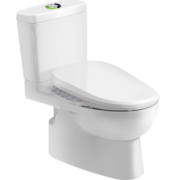 科勒（KOHLER）智能马桶座便器组合全功能加热烘干305坑距28866+18649智能盖