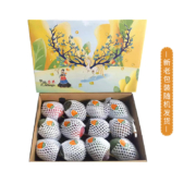 plus会员：京鲜生四川攀枝花凯特芒果单果400g以上?4kg礼盒装*2件?