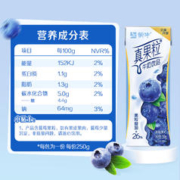真果粒 椰果/芦荟/蓝莓/草莓/黄桃果粒牛奶饮品250g*12包