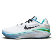 限尺码、京东百亿补贴：NIKE 耐克 2023春季新款男鞋AIR ZOOM实战缓震轻便休闲篮球鞋FJ7063-103