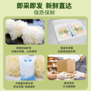 古松 新鲜银耳 6朵700g