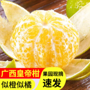 京东百亿补贴：鲜福林广西皇帝柑 当季新鲜水果正宗贡柑蜜橘桔 5斤装（25-30个）