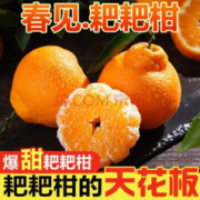 MDNG 四川春见耙耙柑 精选粑粑柑9斤装 （精选装）