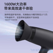 PHILIPS 飞利浦 BHD308