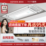 HOTATA 好太太 D-3140 智能电动晒衣架 2.18m 白色/星河银