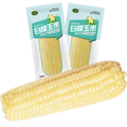珍谷诱惑 白糯玉米10支×200g