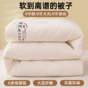 NOME 诺米家居 大豆纤维被子冬被加厚保暖冬季春秋被芯四季通用宿舍棉被床上用品