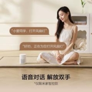OPPLE 欧普照明 欧普OPPLE隐形扇风扇吊灯客厅餐厅卧室家用简约现代灯具FS 简风