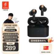 1MORE 万魔 Q30 入耳式真无线动圈主动降噪蓝牙耳机 曜岩黑
