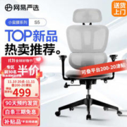 YANXUAN 网易严选 小蛮腰S5 双背人体工学椅转椅 灰色 无脚踏