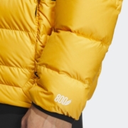 adidas TERREX官方男户外运动抗风透湿防水鹅绒内胆三合一冲锋衣