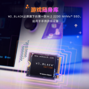 西部数据（Western Digital）500GB SSD固态硬盘 M.2接口 SN770M PCIe4.0 2230 NVMe 笔记本电脑手持游戏硬盘