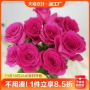 弗洛伊德玫瑰花鲜花云南昆明基地直发新鲜百合鲜切向日葵花束瓶插