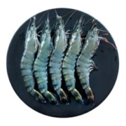 京东百亿补贴:恒兴食品 精选单冻黑虎虾 净重1kg（31-40只/盒）