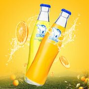 北冰洋 汽水 老北京玻璃瓶果汁碳酸饮料 桔汁248ml*12瓶