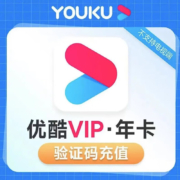 YOUKU 优酷 会员年卡 12个月