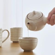 NITORI 宜得利 家居日常通用茶壶泡茶茶杯茶碗家用客用煮茶日式茶具