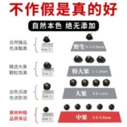 天景山 黑枸杞泡茶青海青素王小果罐装泡水黑构杞苟杞子黑果苟杞花160g