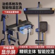 心力 智能数显恒温淋浴花洒套装家用全铜主体枪灰色浴室洗澡增压