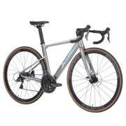 喜德盛（xds） 公路自行车RC618破风车架16速胖圈炫光银700C*480
