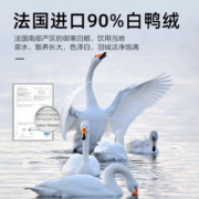 博洋90%羽绒被白鸭绒冬被法国进口母婴A类加厚被子被芯抑菌床上用品 【母婴A类-法国进口】冬被—朝元 220*240cm
