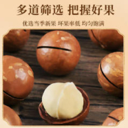 老街口 夏威夷果 500g