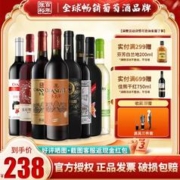 CHANGYU 张裕 三星酿酒师干红葡萄酒 4500ml