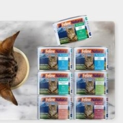 最后4小时：K9Natural 宠源新 FelineNatural 无谷主食猫罐 170g*6