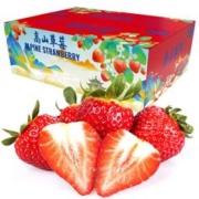 预售:绿鲜集 四川大凉山草莓 红颜99奶油草莓礼盒 4盒/约2.3斤 精选中果 单果12克