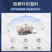 Serta 舒达 爱琴海 偏硬护脊弹簧床垫乳胶床垫席梦思家用双人床垫