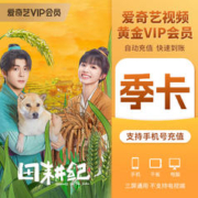 iQIYI 爱奇艺 VIP会员黄金季卡