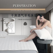 Woolstar 澳洲进口羊毛床垫床褥纯羊毛床笠家用薄软垫保护垫可定制