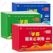 2024经纶小学学霸期末必刷卷全年级任选