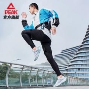 PEAK 匹克 态极3.0Pro跑步鞋男子秋季缓震休闲男鞋透气轻便运动鞋男E11727H