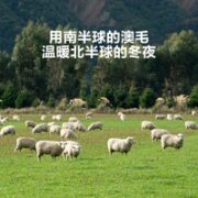 LOVO 乐蜗家纺 罗莱生活LOVO乐蜗家纺澳洲进口防螨羊毛被子加厚冬被春秋被芯150*215cm