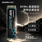 GUDGA 固德佳 GXF Pro M.2 NVMe 固态硬盘 2TB PCle 4.0