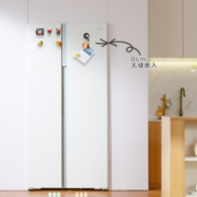 双11预售、PLUS会员：Haier 海尔 巨能冻 BCD-561WLHSS14W9U1 561升 双开门冰箱 零距离嵌入式
