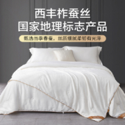 88VIP、10日20点：博洋 被子100%蚕丝被夏被150*210cm